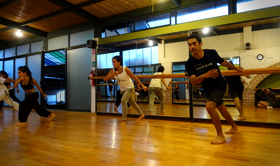 Capoeira_24